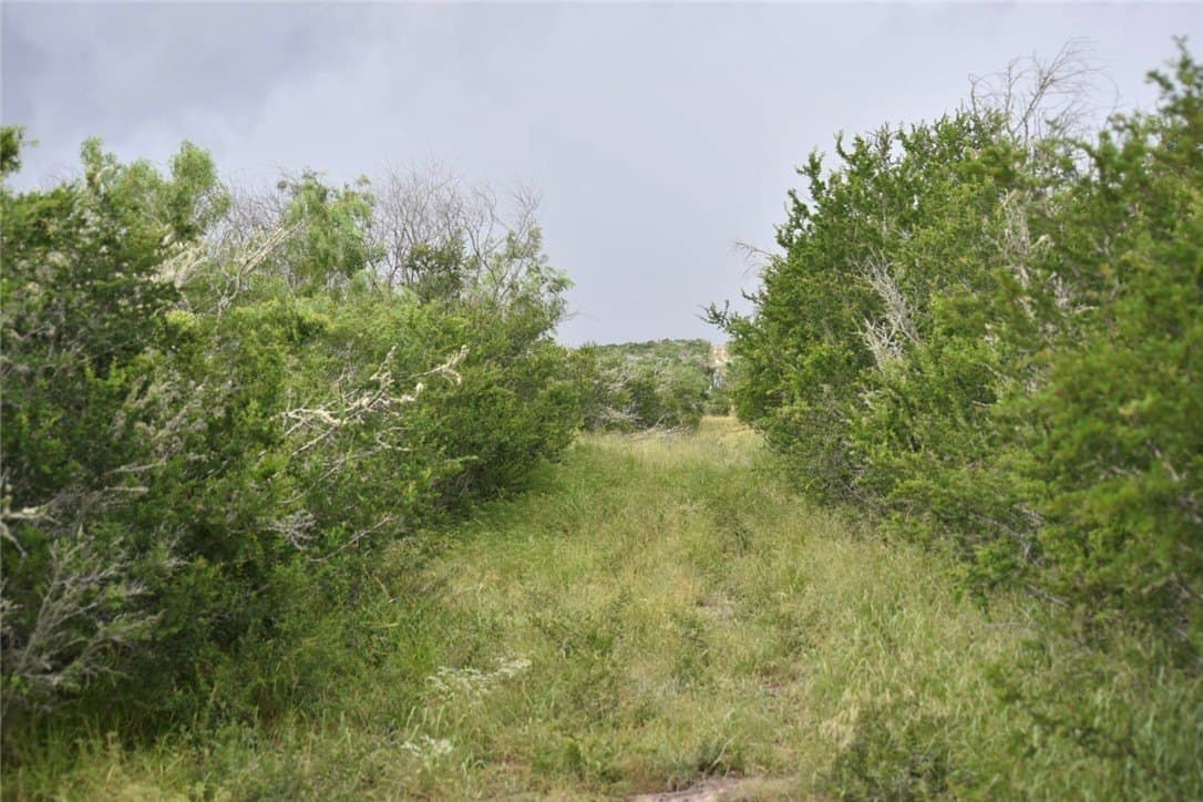 10.38 acres in Live Oak County - photo 12