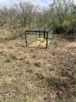 10.38 acres in Live Oak County gallery image 2