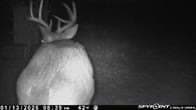 10.38 acres in Live Oak County - photo 10