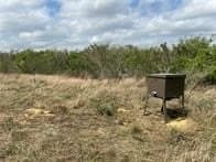 10.38 acres in Live Oak County gallery image 3