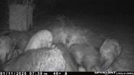10.38 acres in Live Oak County - photo 11