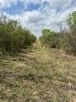 10.38 acres in Live Oak County - photo 7