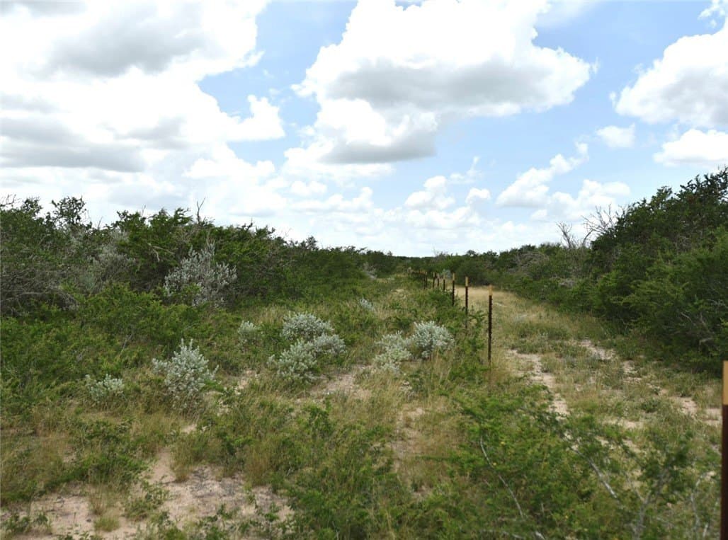 10.38 acres in Live Oak County - photo 14