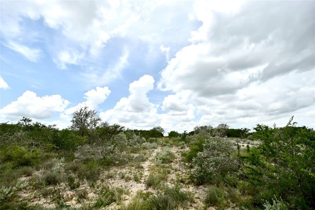 10.38 acres in Live Oak County - photo 16