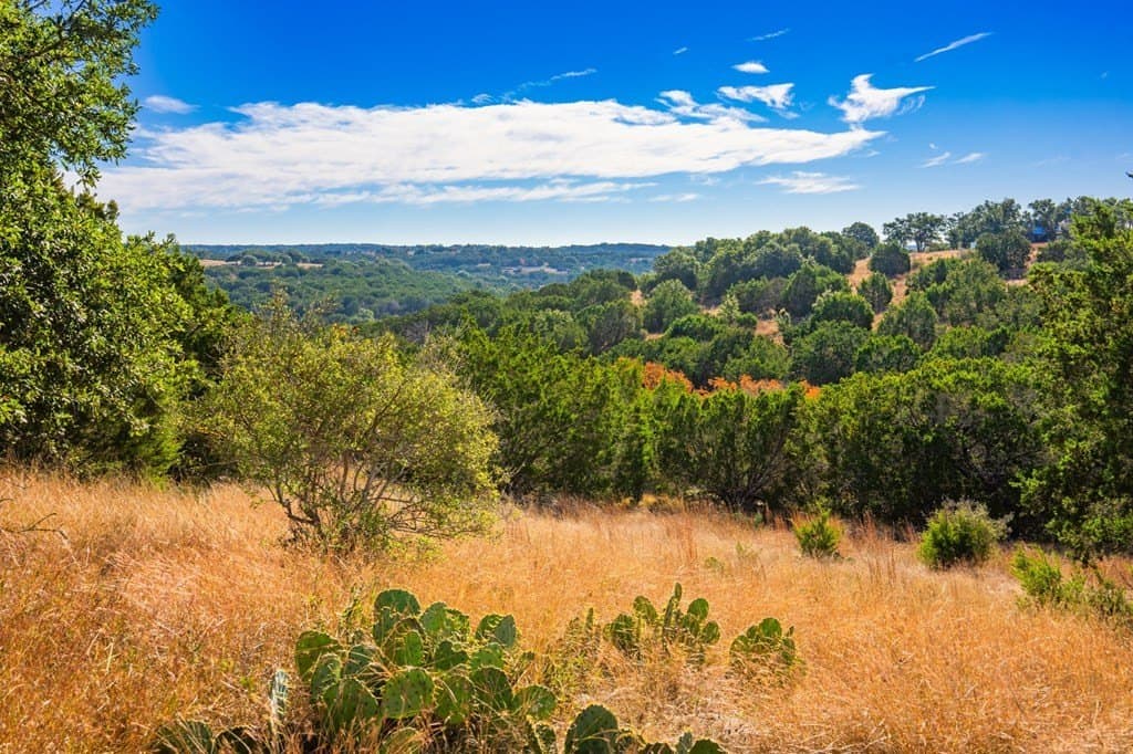 3.01 acres in Gillespie County featured view