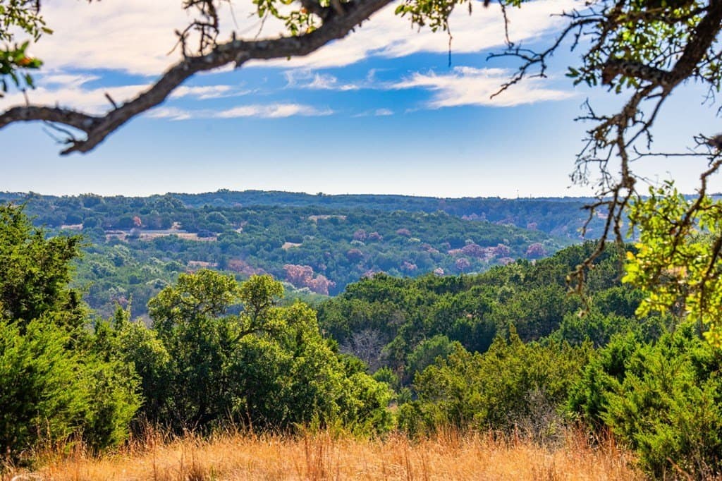 3.01 acres in Gillespie County gallery image 4