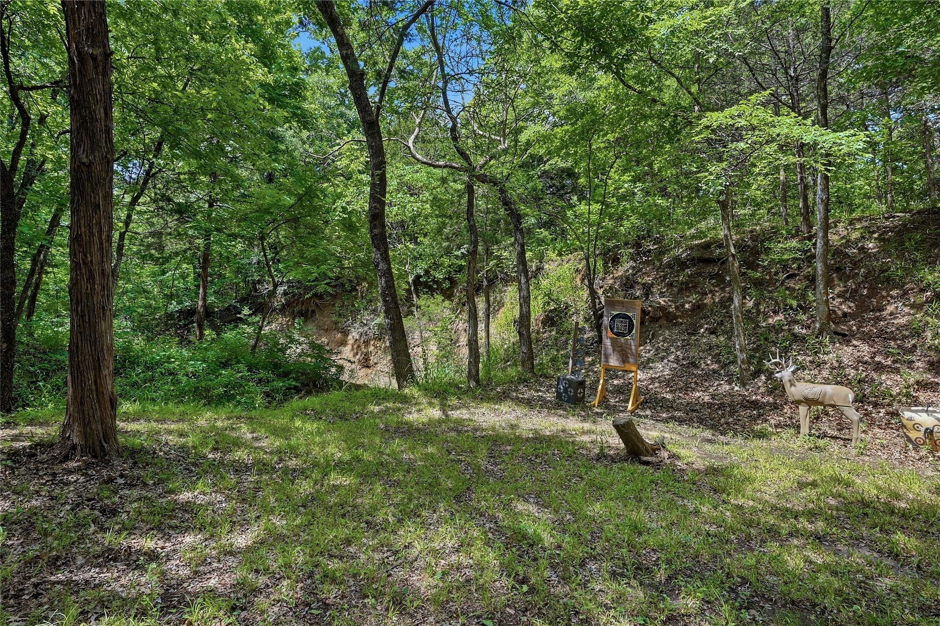 9.99 acres in Grayson County - photo 7