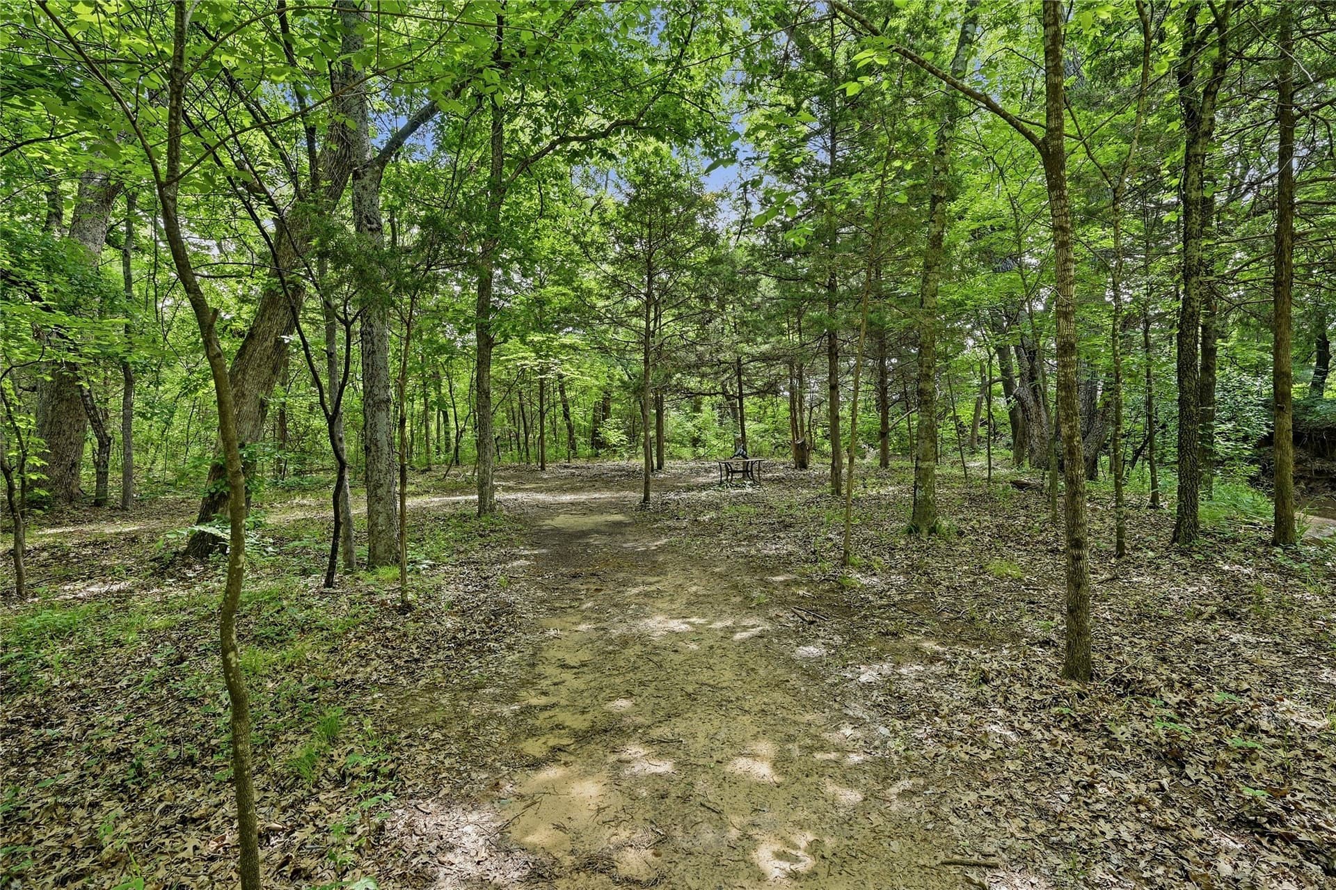 9.99 acres in Grayson County - photo 4