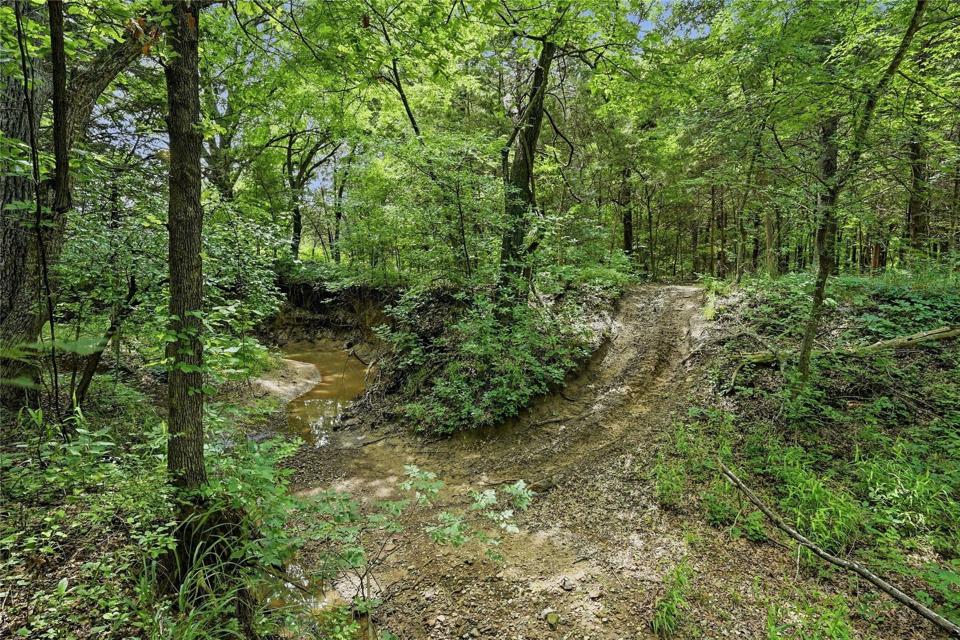 9.99 acres in Grayson County - photo 5