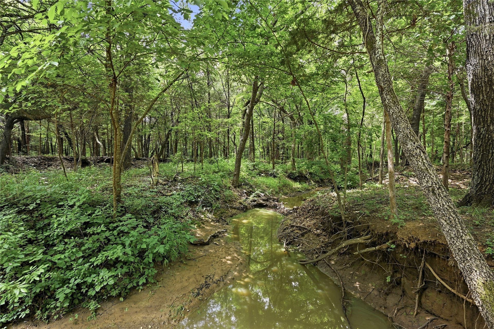 9.99 acres in Grayson County - photo 3