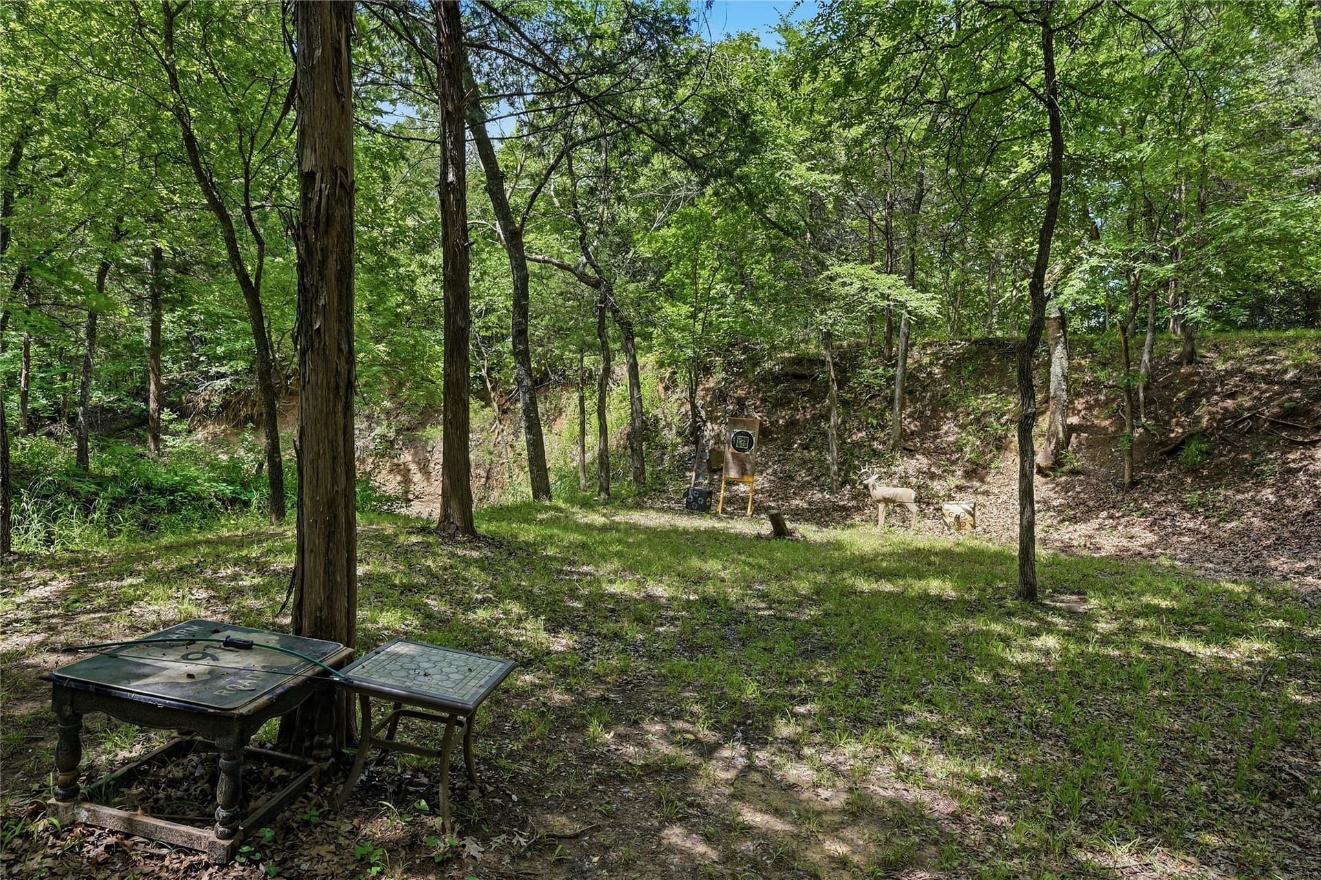 9.99 acres in Grayson County - photo 6