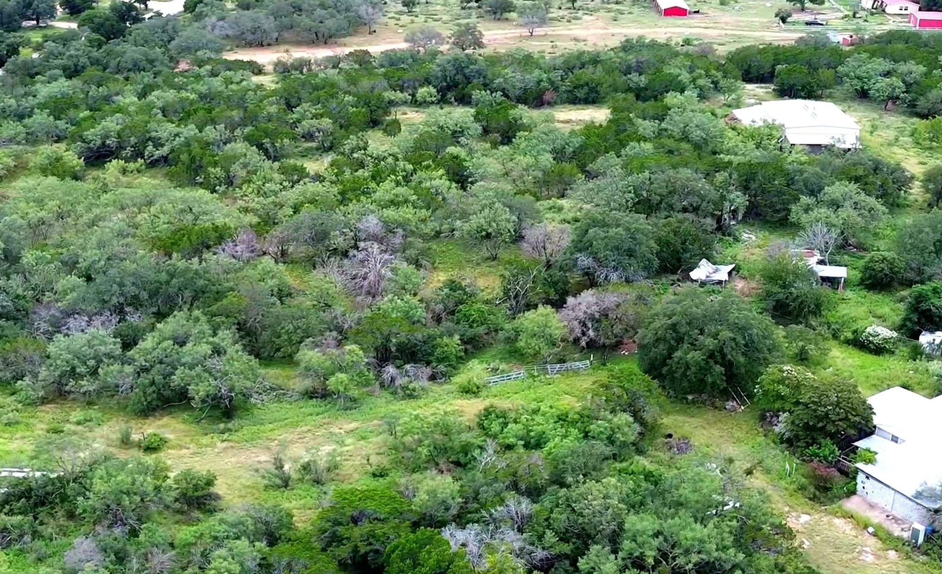 12 acres in Burnet County - photo 14