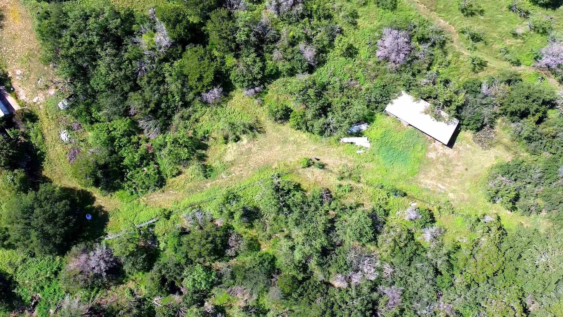 12 acres in Burnet County - photo 8