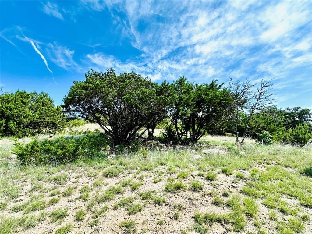 21.56 acres in Callahan County gallery image 2