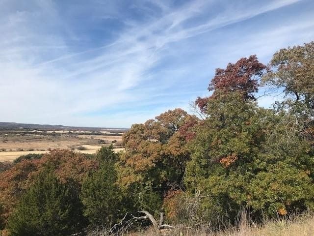 21.56 acres in Callahan County featured view
