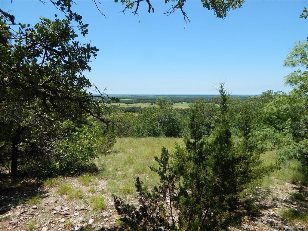 21.56 acres in Callahan County