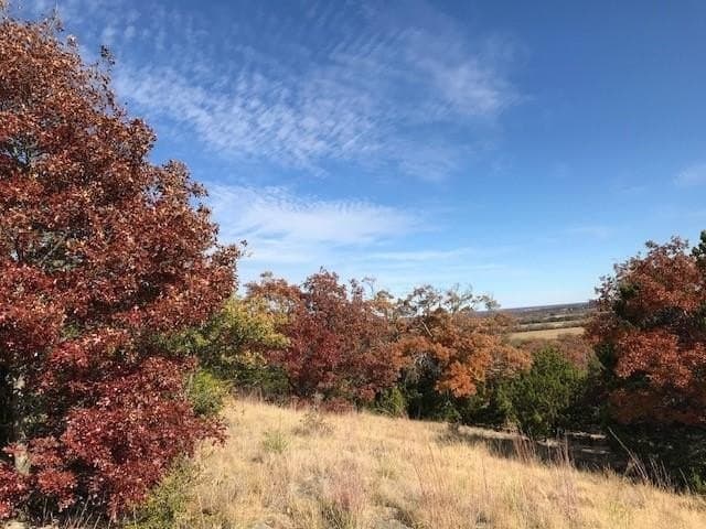 21.56 acres in Callahan County gallery image 4