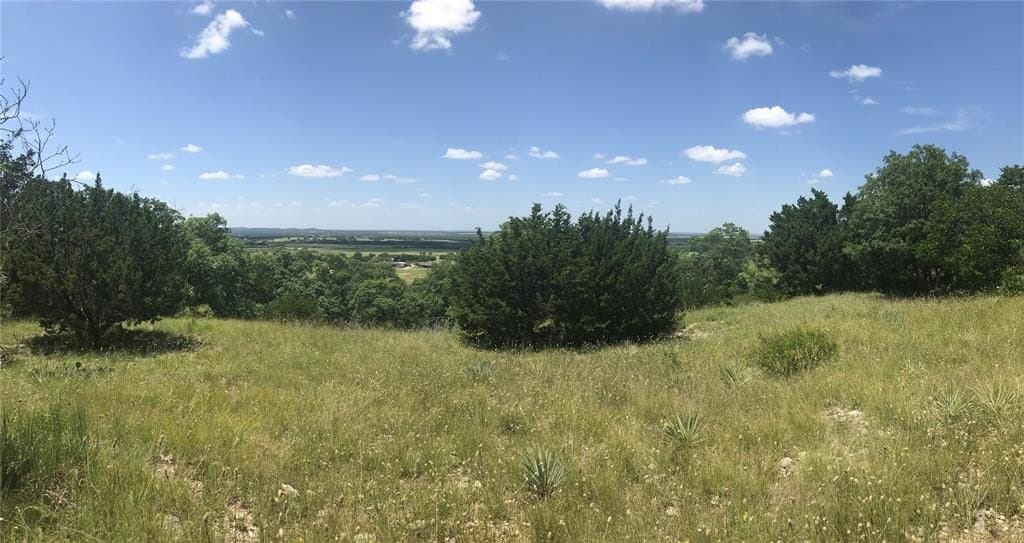 21.56 acres in Callahan County gallery image 3