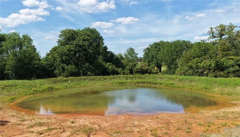 10.23 acres in Burleson County - photo 7