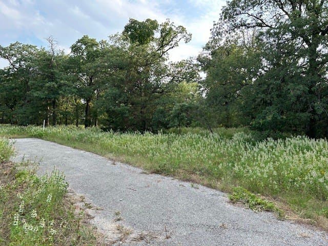 3.76 acres in Parker County gallery image 3