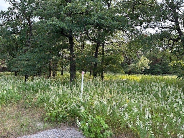 3.76 acres in Parker County gallery image 2