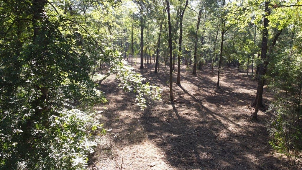 14.39 acres in Texas County gallery image 4