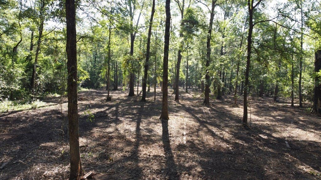 14.39 acres in Texas County featured view