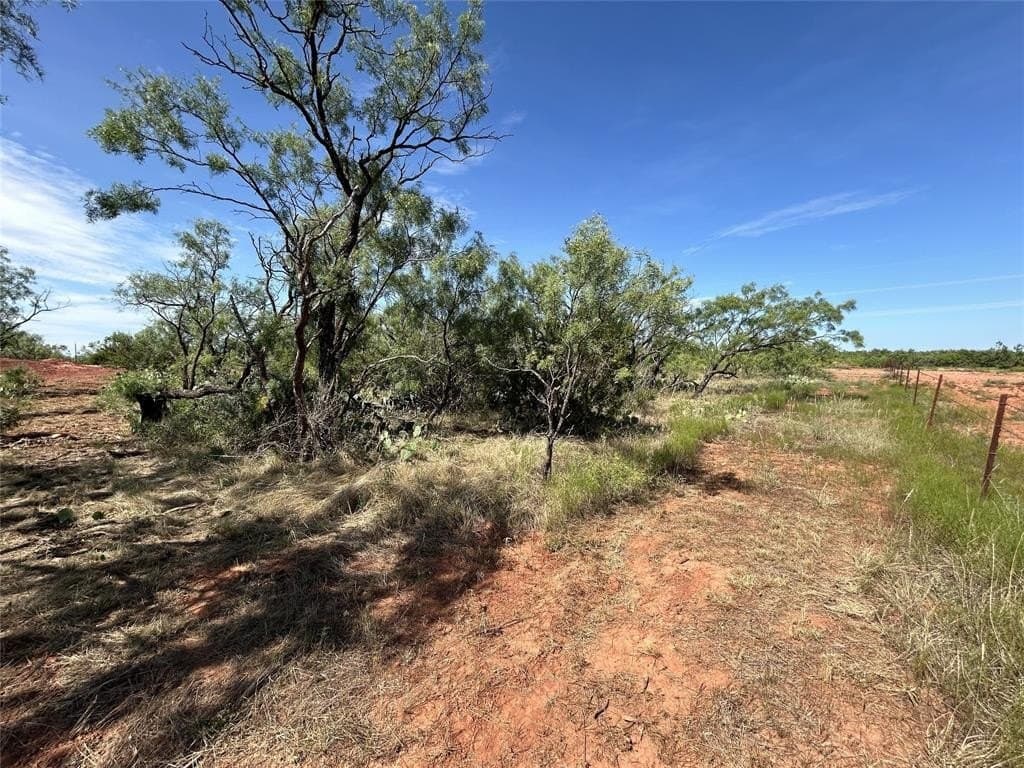 10.2 acres in Taylor County gallery image 3