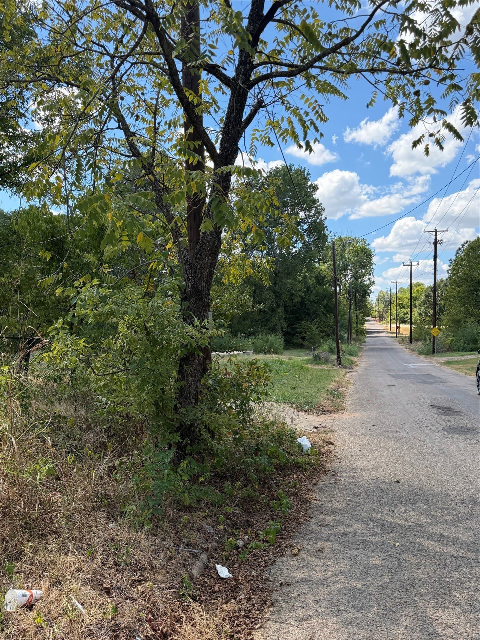 0.63 acres in Lamar County - photo 5