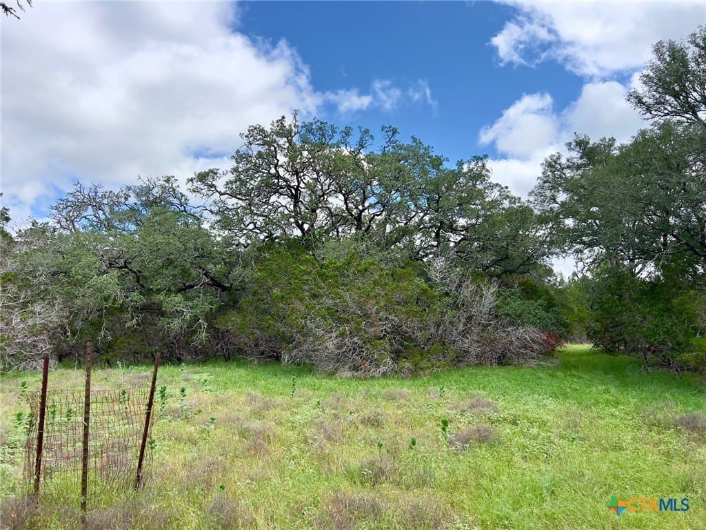 15.69 acres in Blanco County gallery image 4