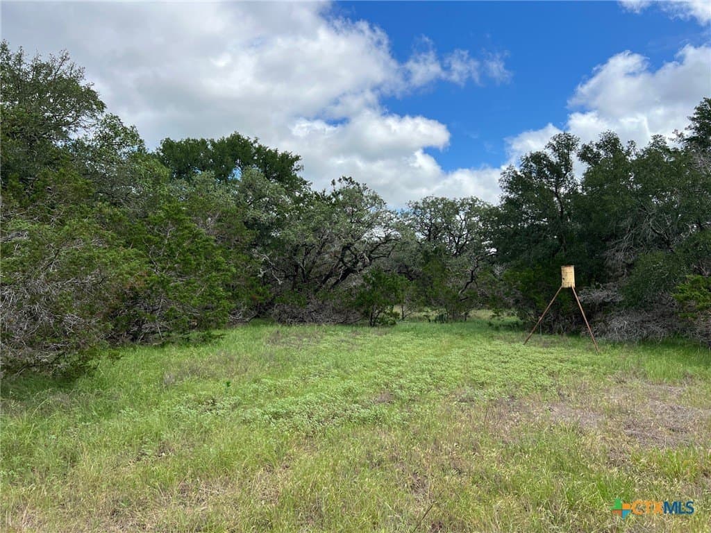 15.69 acres in Blanco County featured view
