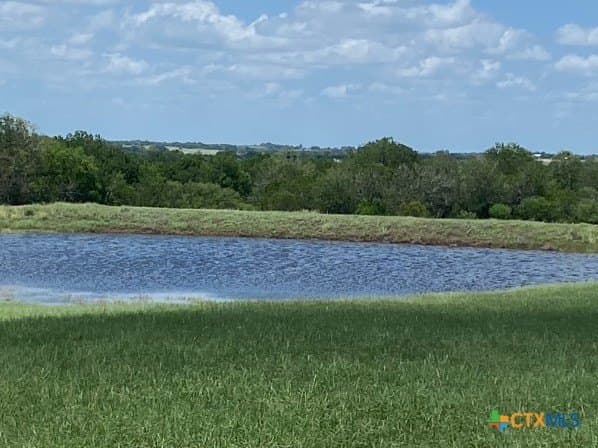 20 acres in DeWitt County - photo 39