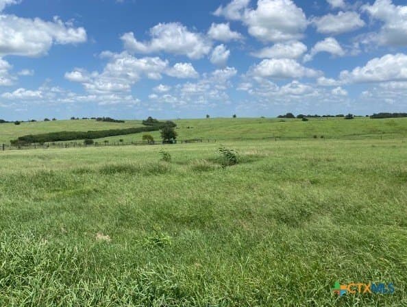 20 acres in DeWitt County - photo 38