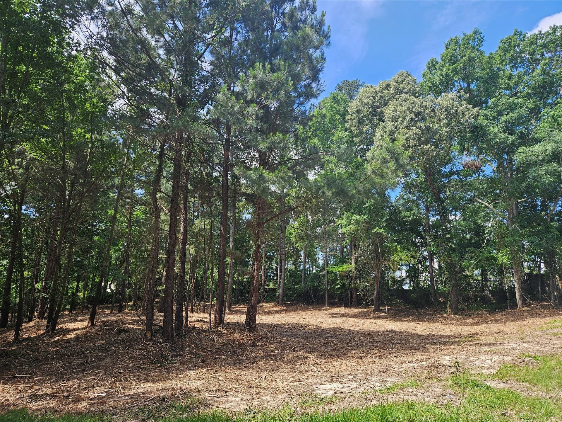 0.81 acres in Smith County - photo 8