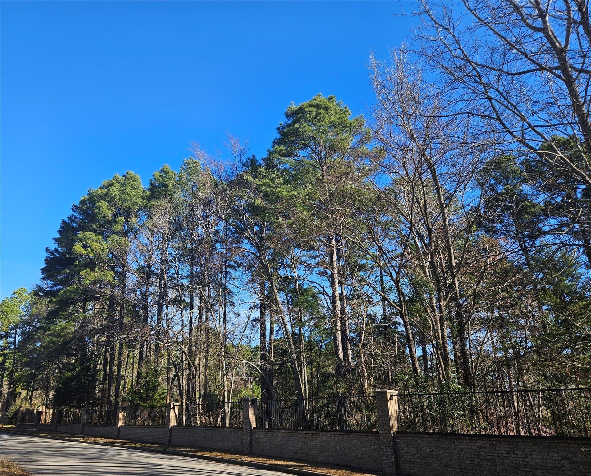 0.81 acres in Smith County gallery image 4