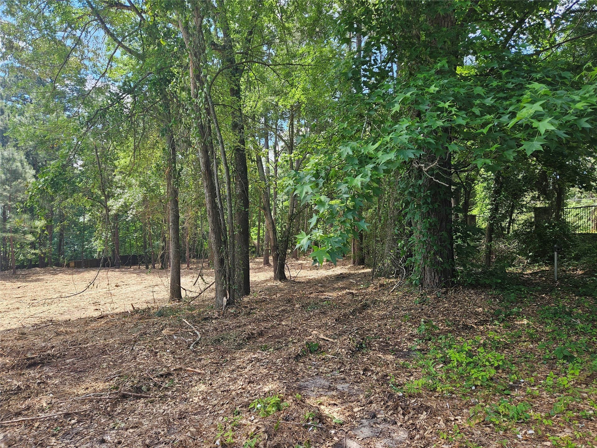 0.81 acres in Smith County - photo 11