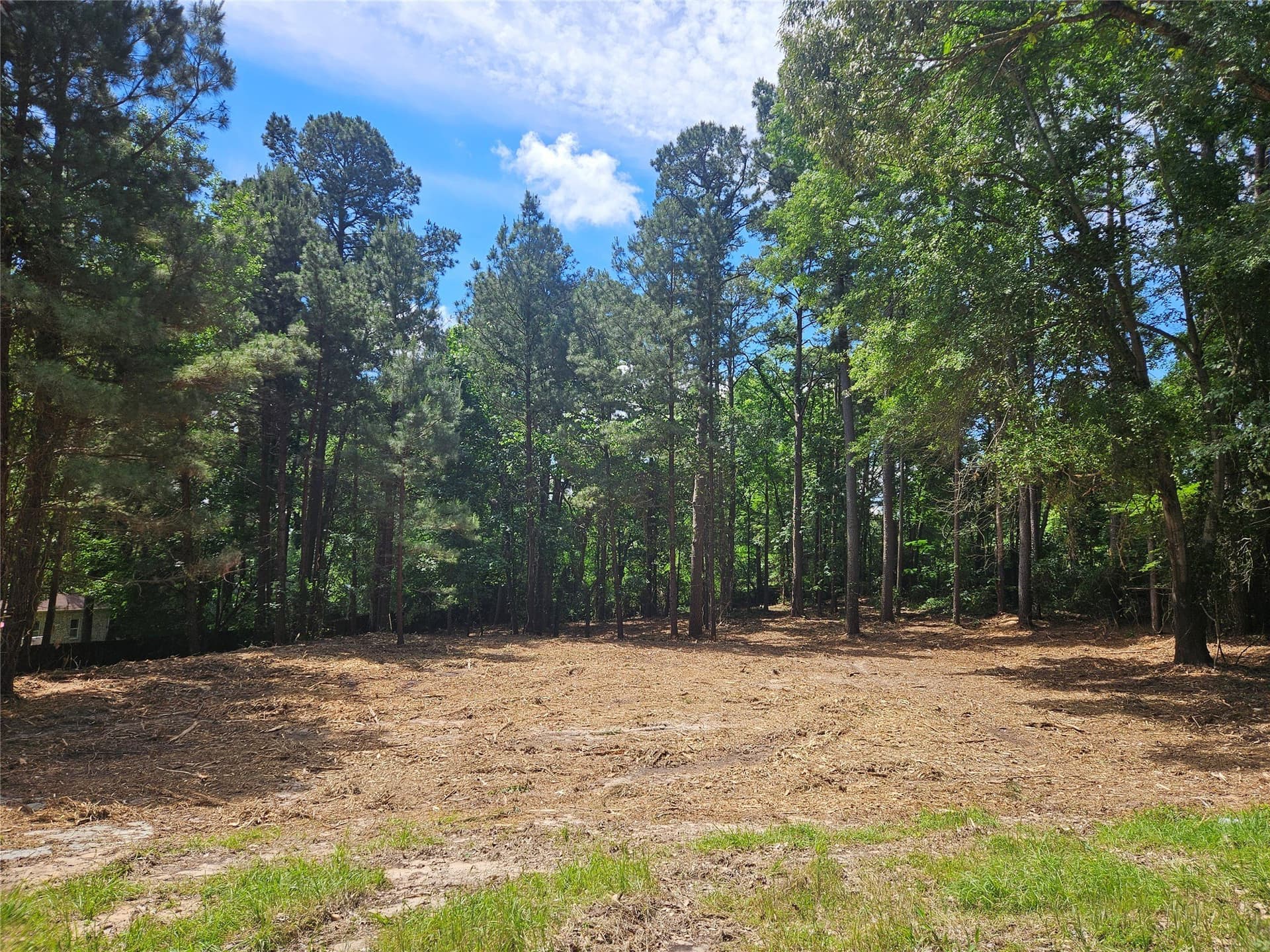 0.81 acres in Smith County - photo 13