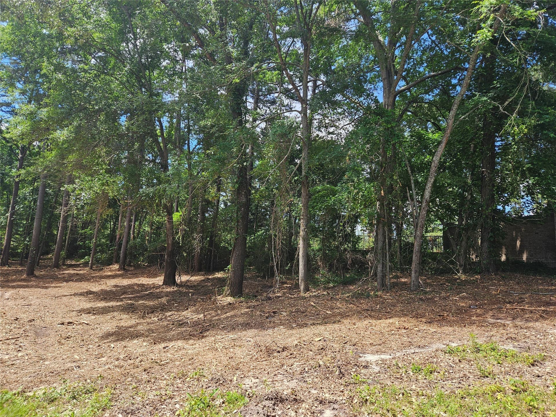 0.81 acres in Smith County - photo 10