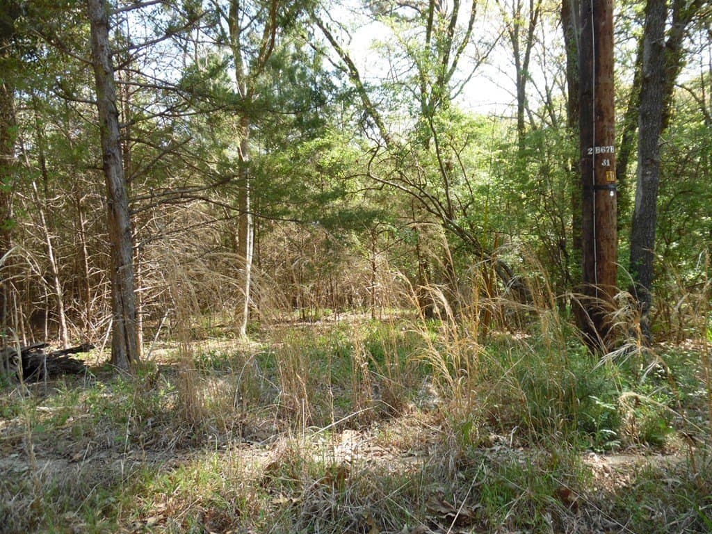 0.28 acres in Van Zandt County - photo 9