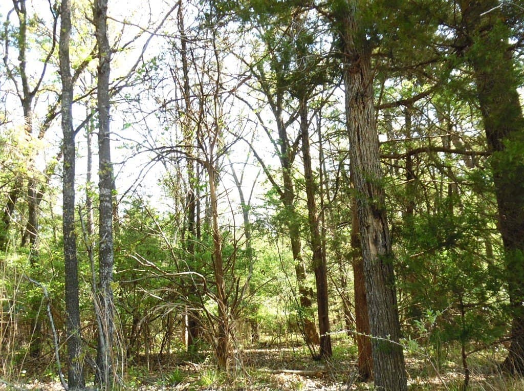 0.28 acres in Van Zandt County - photo 16