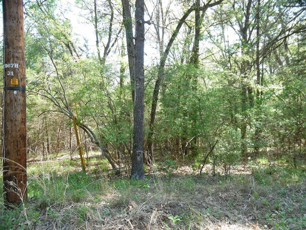 0.28 acres in Van Zandt County - photo 13