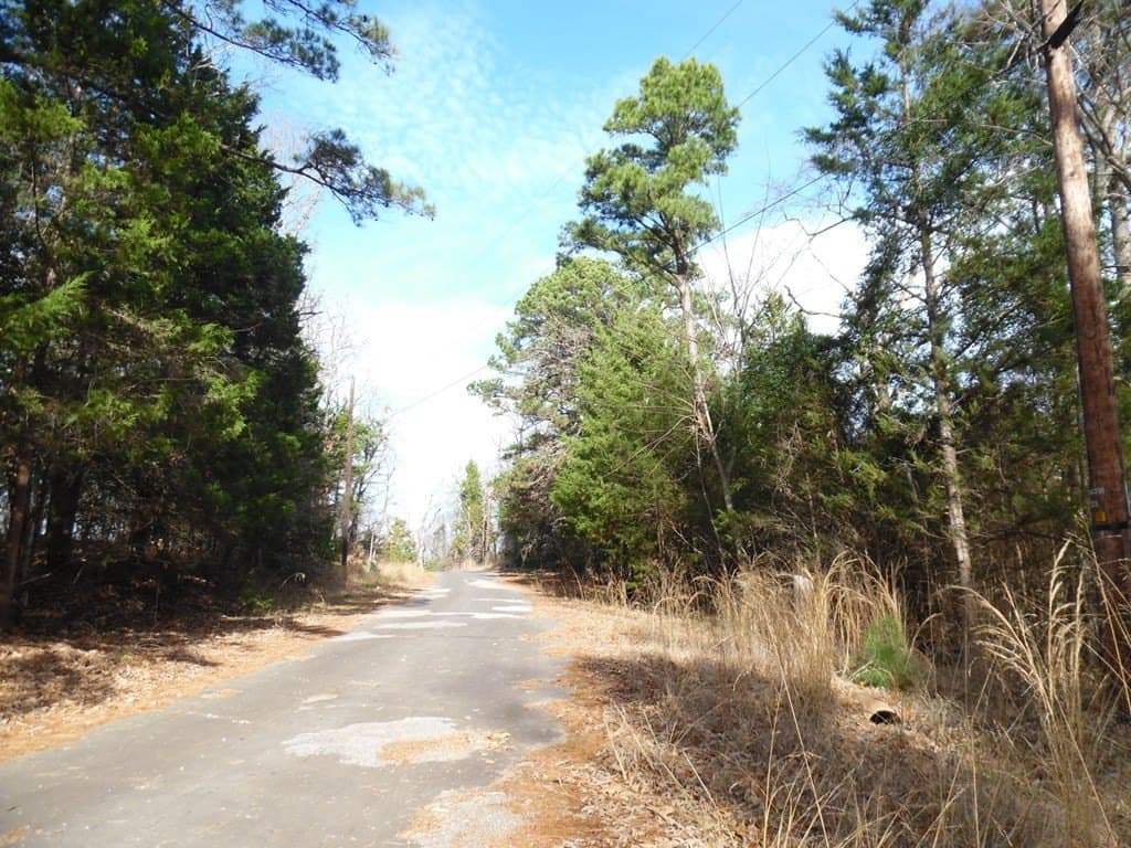 0.28 acres in Van Zandt County - photo 17
