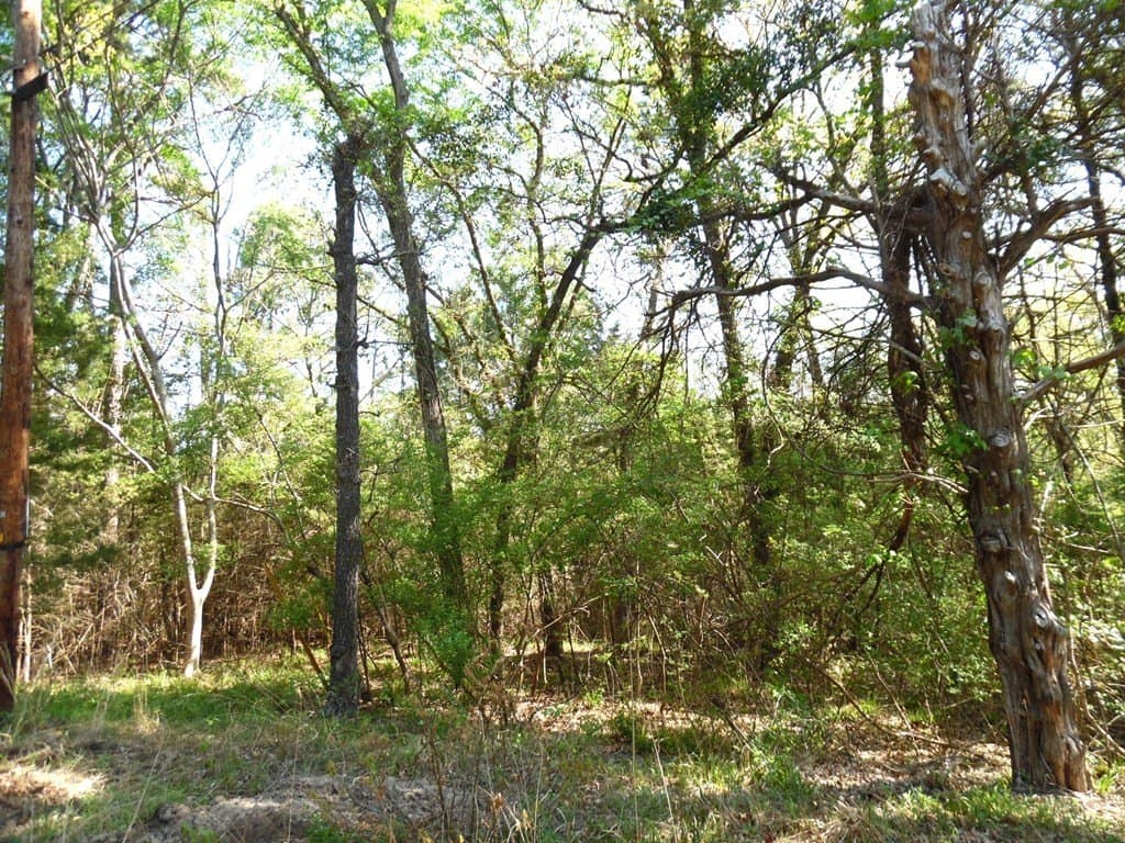 0.28 acres in Van Zandt County - photo 14