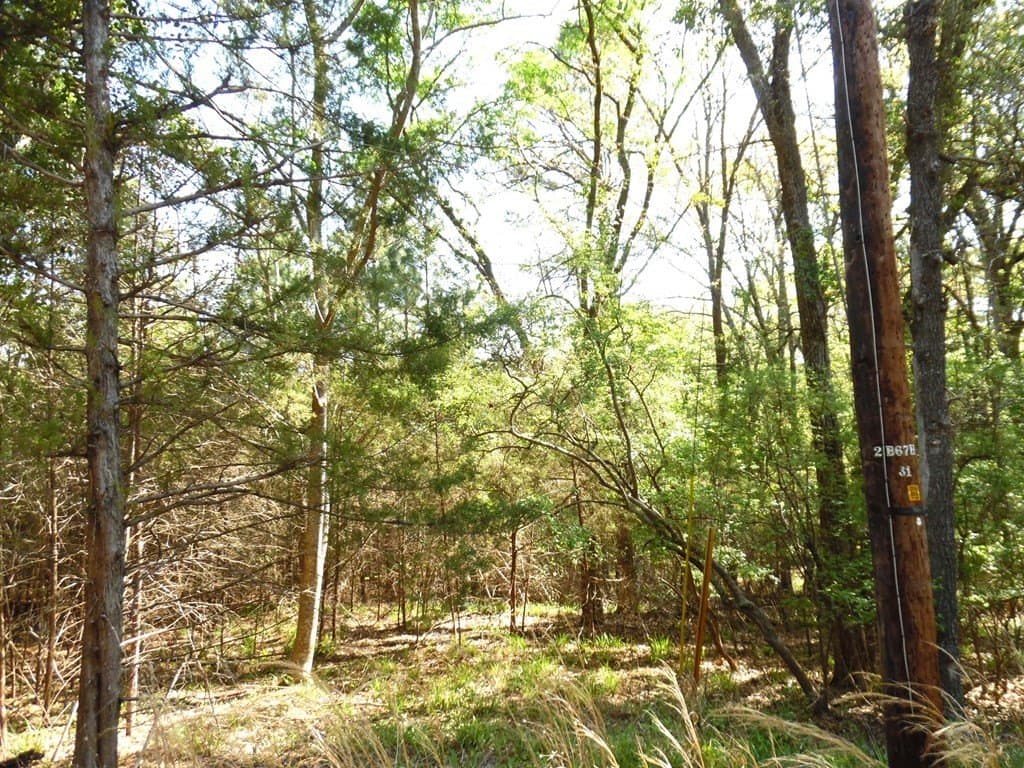 0.28 acres in Van Zandt County - photo 10