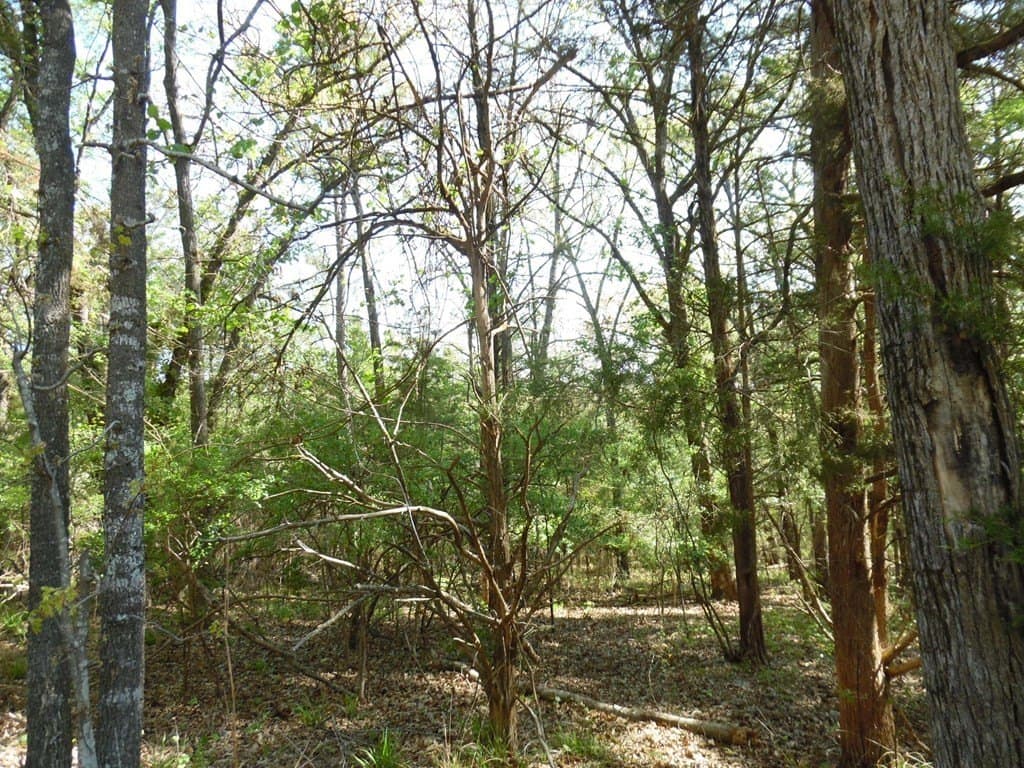 0.28 acres in Van Zandt County featured view