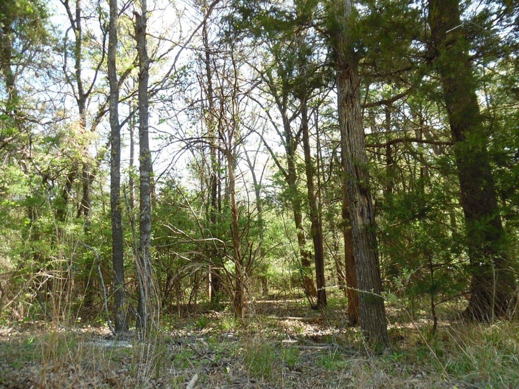 0.28 acres in Van Zandt County gallery image 3