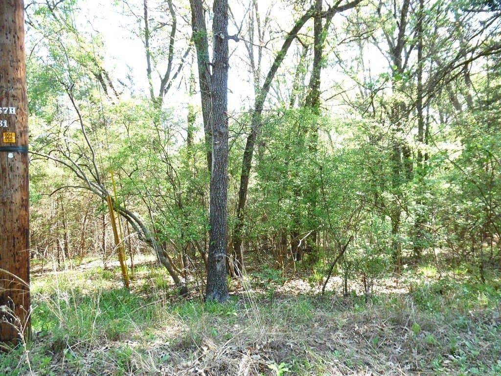 0.28 acres in Van Zandt County - photo 12
