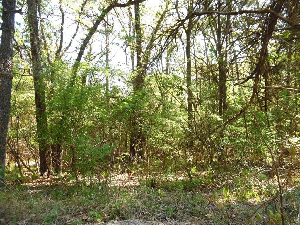 0.28 acres in Van Zandt County - photo 7