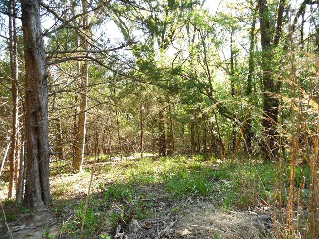 0.28 acres in Van Zandt County - photo 11