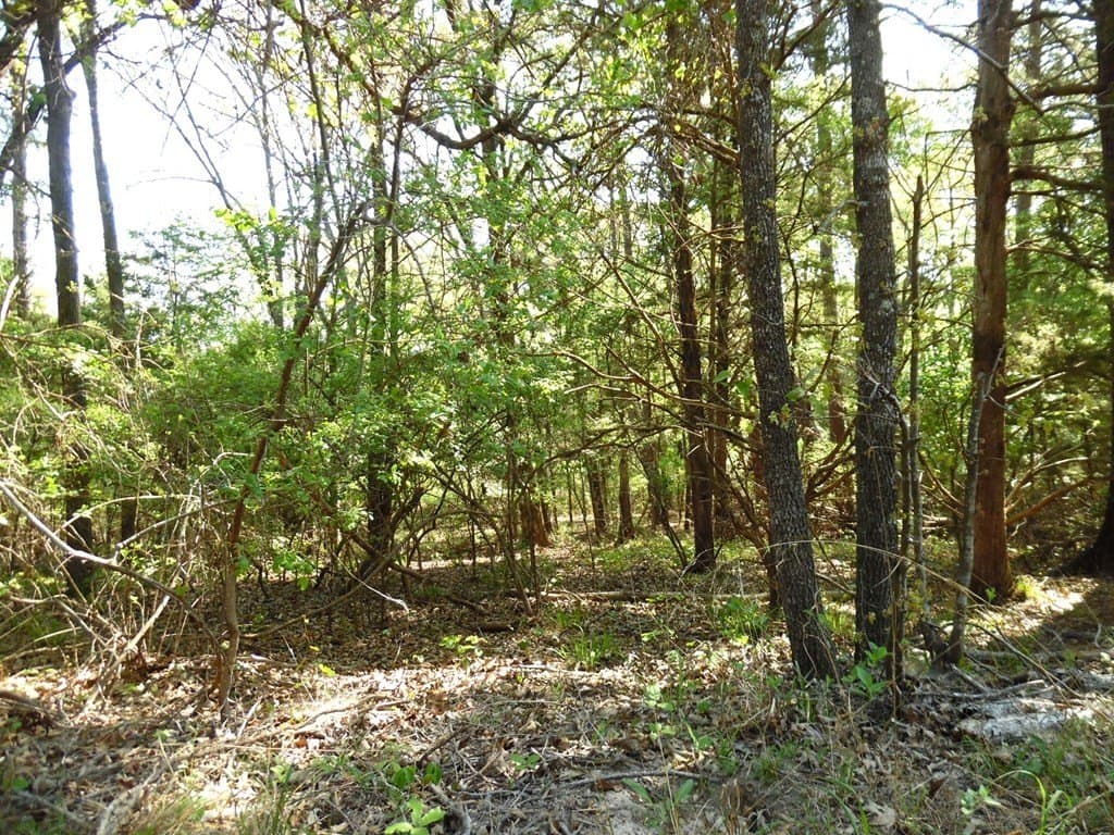 0.28 acres in Van Zandt County - photo 15